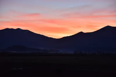 DSC_5857 (Large).JPG